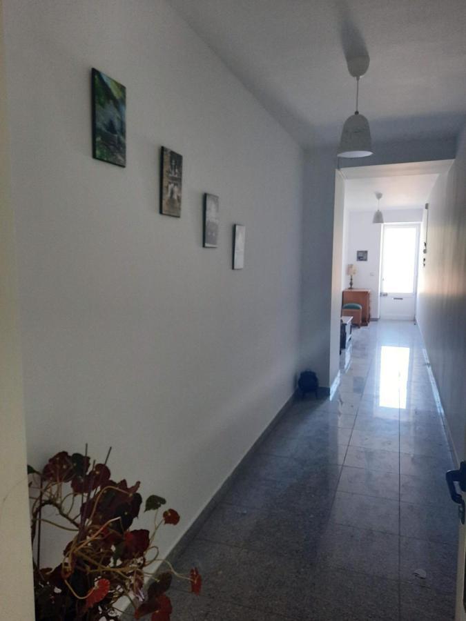 Casa Araci Hotell Vieira do Minho Exteriör bild
