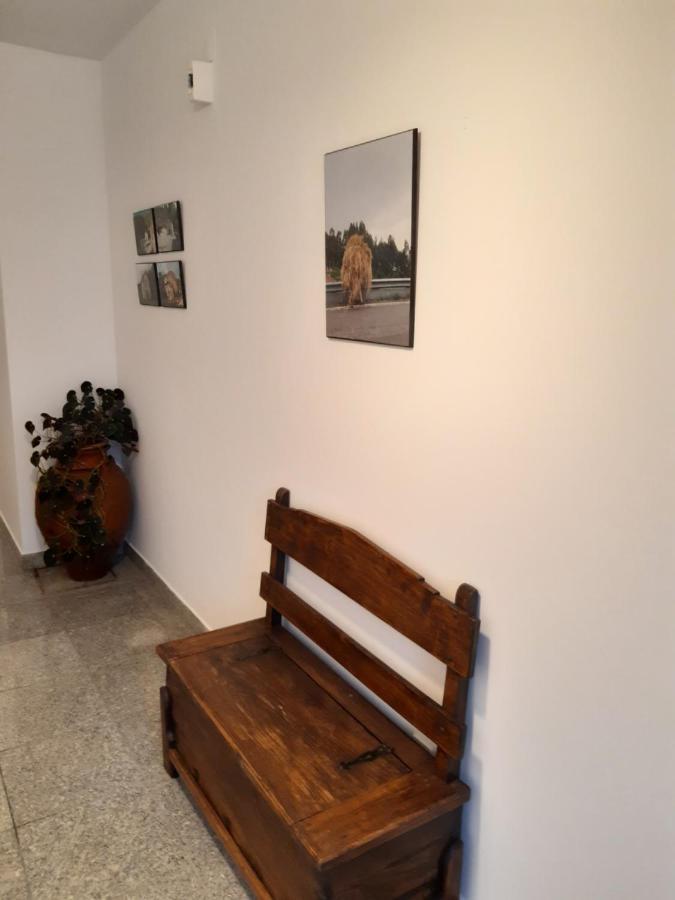 Casa Araci Hotell Vieira do Minho Exteriör bild